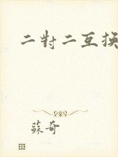 二对二互换共享