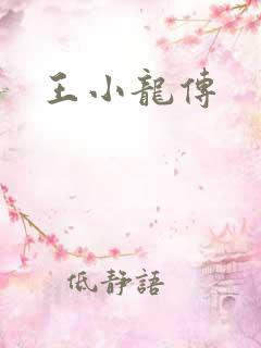 王小龙传