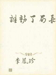 谁动了局长夫人