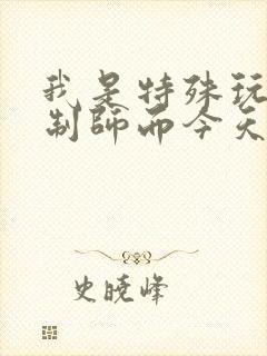 我是特殊玩具定制师而今天的客户