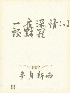 一夜深情:小叔轻点宠