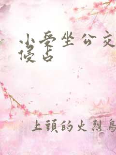 小受坐公交车被侵占