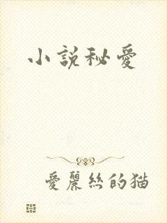 小说秘爱