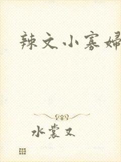 辣文小寡妇