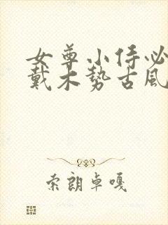 女尊小侍必须佩戴木势古风