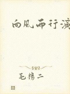 向风而行演员表