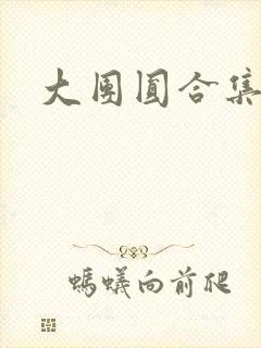 大团圆合集