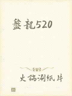 盘龙520