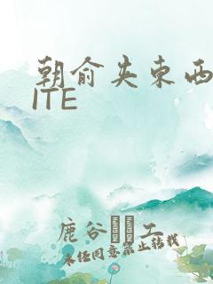 朝俞夹东西WRITE