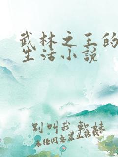 武林之王的退隐生活小说