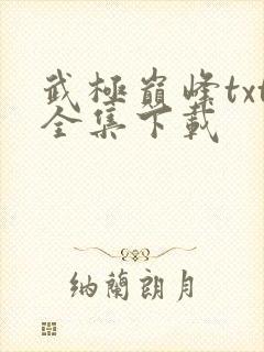 武极巅峰txt全集下载