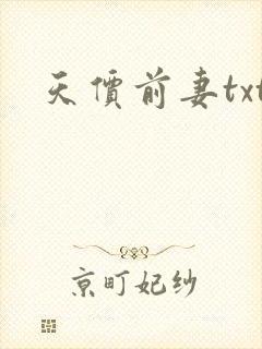 天价前妻txt