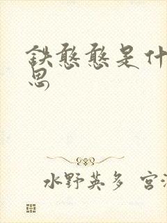 铁憨憨是什么意思