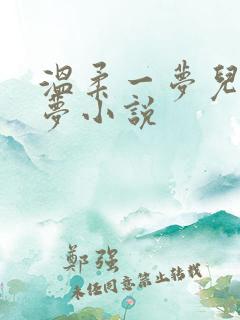 温柔一梦儿媳林梦小说