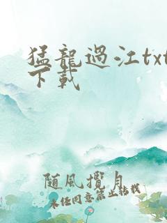 猛龙过江txt下载