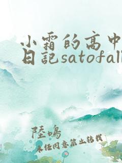 小霜的高中成长日记satofall