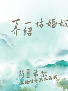 下一站婚姻剧情介绍