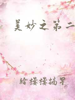 美妙之第二人生