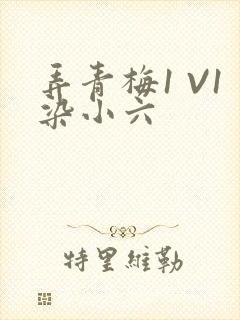弄青梅1 V1染小六