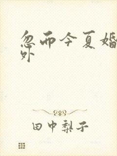忽而今夏婚后番外