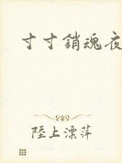 寸寸销魂夜春光