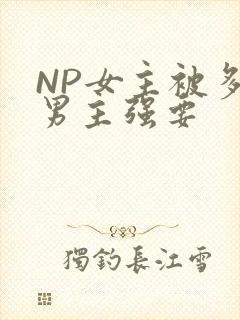 NP女主被多个男主强要