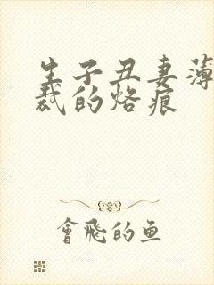 生子丑妻薄情总裁的烙痕