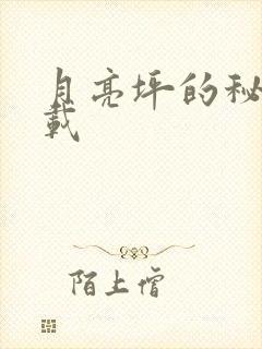 月亮坪的秘密下载