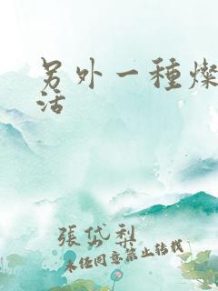 另外一种灿烂生活