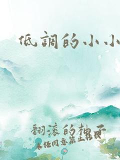 低调的小小宫女