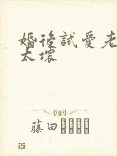 婚后试爱老公别太坏