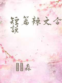 短篇辣文合集小说