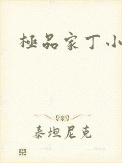 极品家丁小说