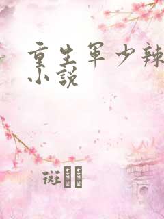 重生军少辣娇妻小说