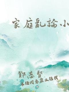 家庭乱论小说