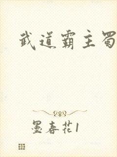 武道霸主蜀狂人