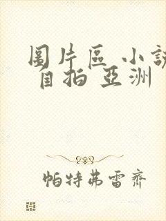 图片区 小说区 自拍 亚洲