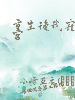 重生后我宠冠东宫