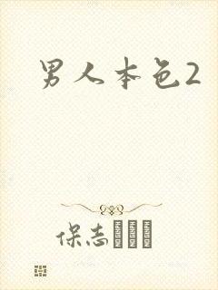 男人本色2