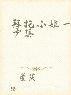 拜托小姐一共多少集