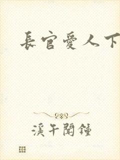 长官爱人下载