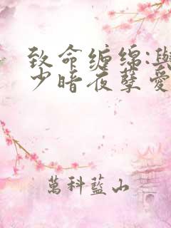 致命缠绵:与冷少暗夜孽爱