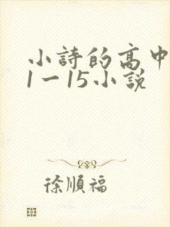 小诗的高中日记1一15小说