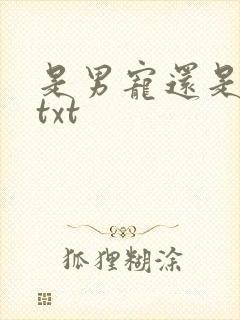 是男宠还是禁脔txt