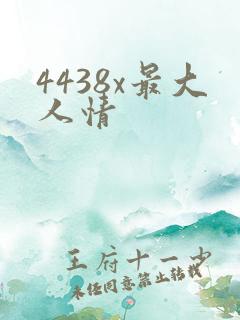 4438x最大人情