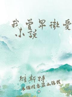 我曾卑微爱过你 小说