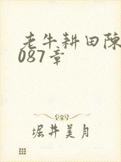 老牛耕田陈雪1087章