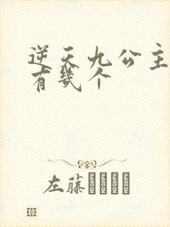 逆天九公主男主有几个