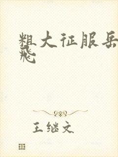 粗大征服岳女双飞