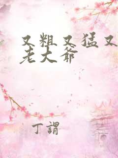 又粗又猛又大爽老大爷